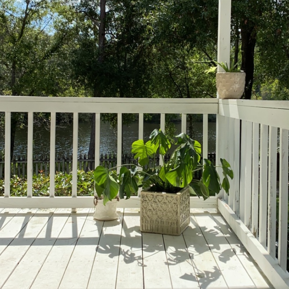 Hey there! I’m Alyssa! 👸🏻